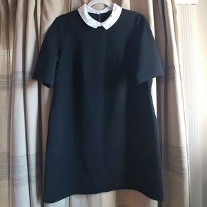 NWOT Collared Dress with textured fabric